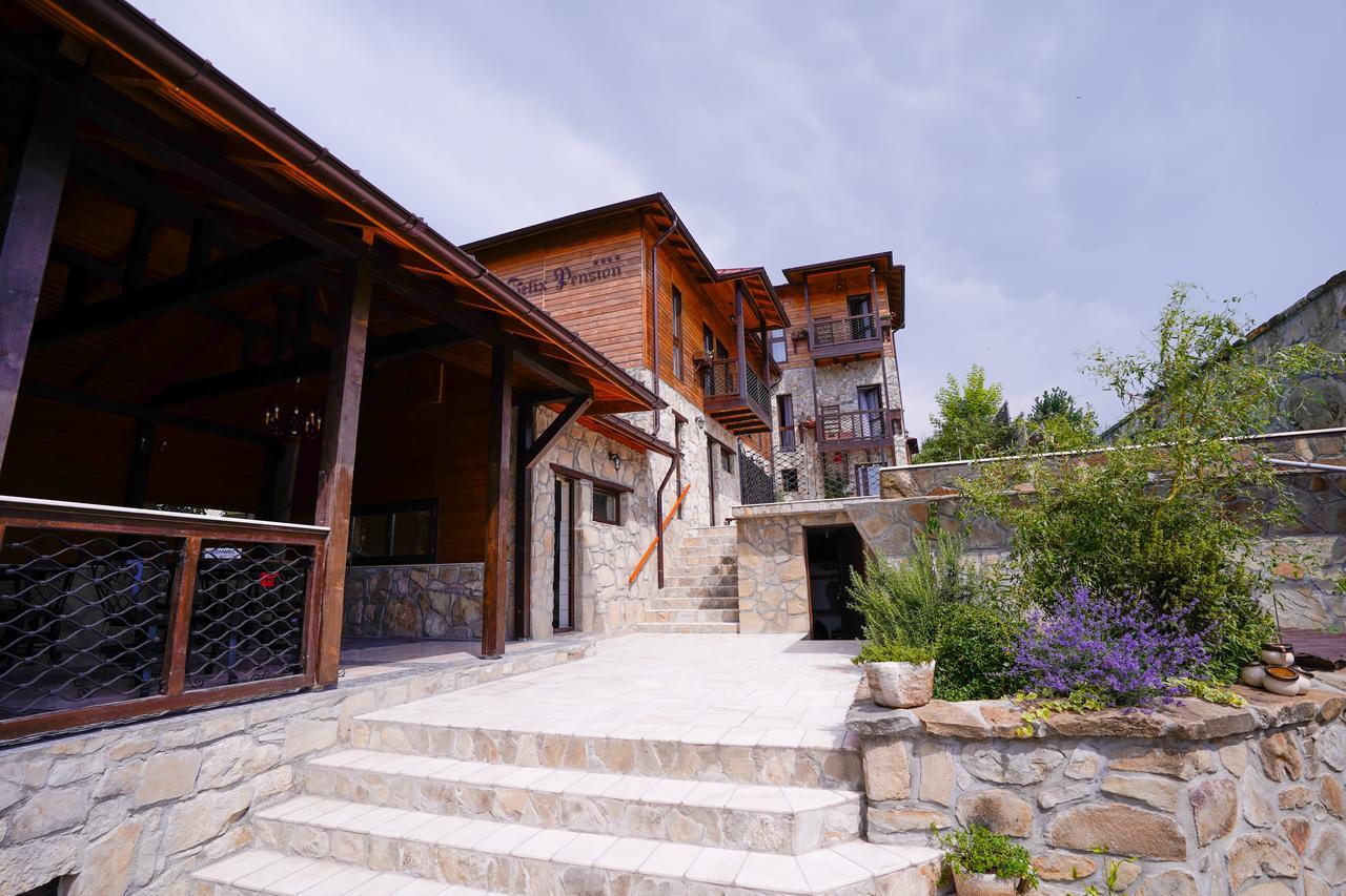 Felix Pension Băile Govora Exterior foto